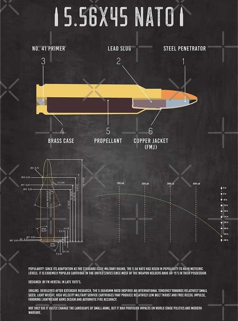 5.56x45 NATO art with cut out view, ballistics and fun facts.