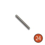 Safety Detent Spring